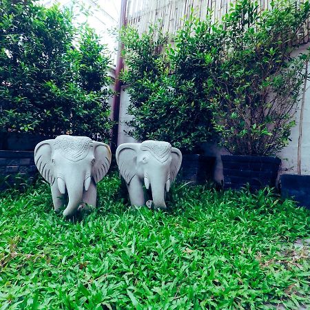 Adventure Siem Reap Lodge Eksteriør bilde